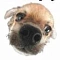 Kulumi
