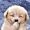 XxAnimaxX